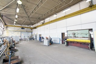 fir--6-.jpg